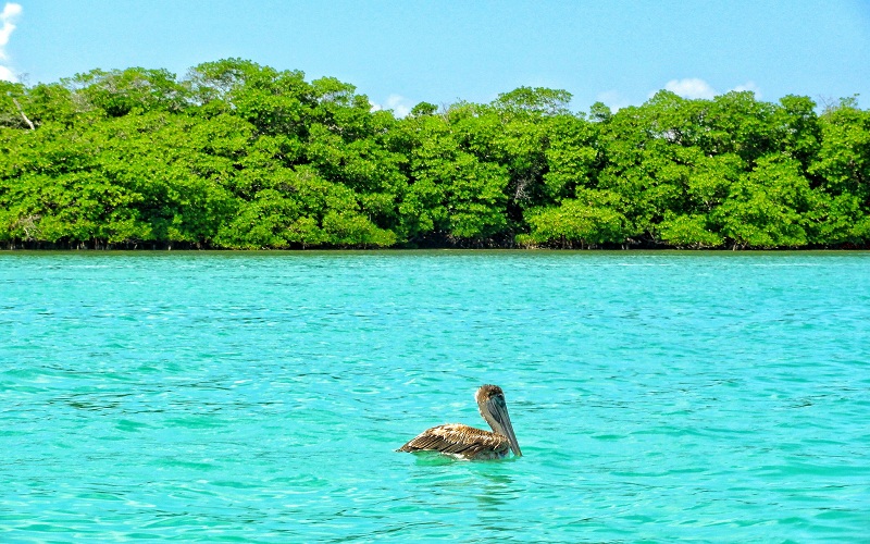 Một trong những điểm hấp dẫn, nổi bật nhất dọc bán đảo Yucatan